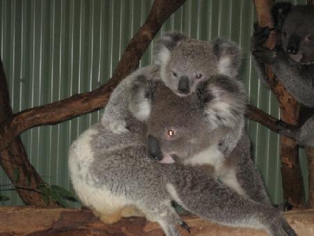 Mama und Baby.