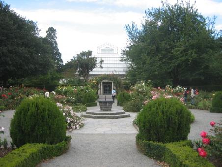 Der Rosengarten im botanischen Garten.