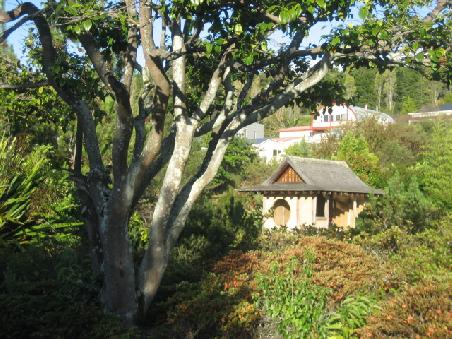 Noch ein Bild vom Miyazu Garten.