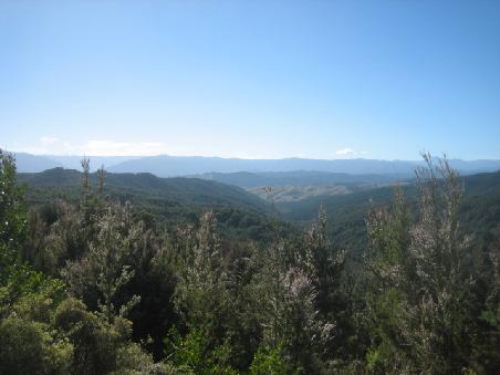 Und nochmal die Landschaft um Nelson.