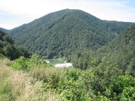 Andere Richtung des Buller River.