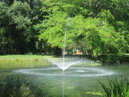 Im Queensgarden von Queenstown.