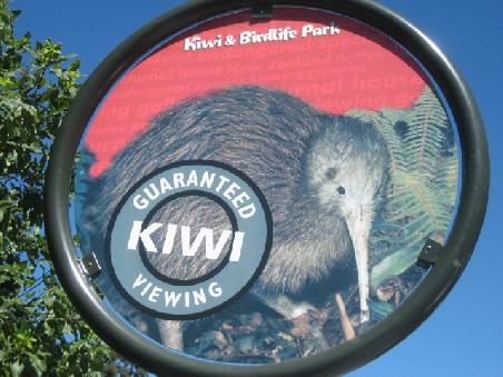 Kiwi-Schild.