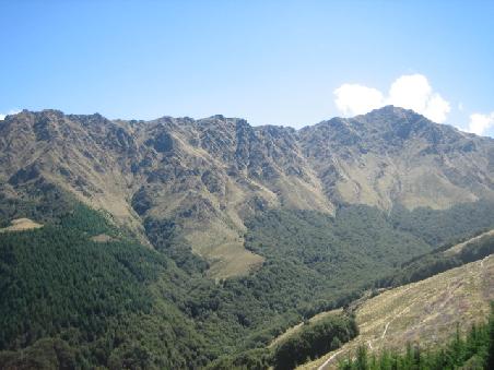Die Berge vom Ben Lomond Lookout.