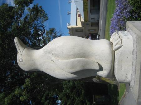Pinguin in Oamaru.