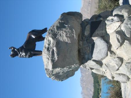 Collie Dog Monument am Lake Tekapo. Eins der beiden meistfotografiertesten Motive in Neuseeland.