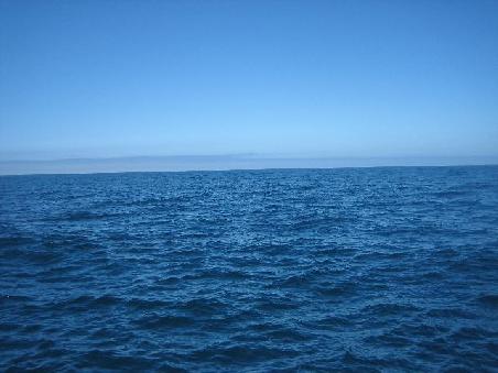 Das Meer um Kaikoura, noch ohne Wale.
