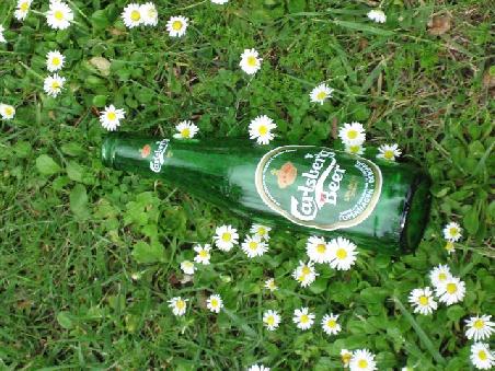 Bierflasche im Gras.