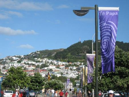 Der Mount Victoria. Zu diesem Lookout hatte ich es nicht mehr geschafft und habe mir stattdessen einen ruhigen Nachmittag im Cafe gemacht.