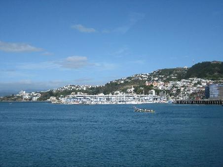 Sicht auf Wellington vom Hafen.