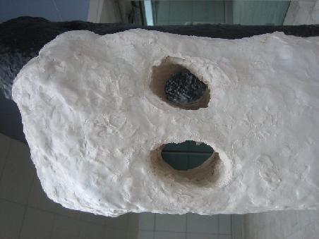 Nahaufnahme in weiss.
