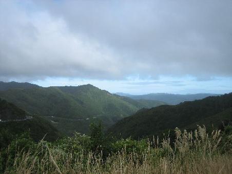 Aussicht von dem Rimutaka Lookout.