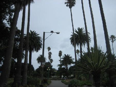 Garten in Napier.