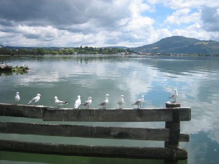 See mit Seemoeven.