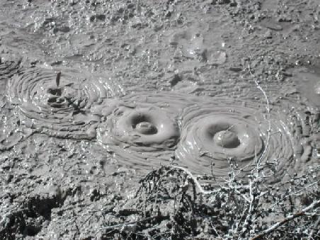 Und weil ich die "Bewegungen" so klasse fand und natuerlich auch mein bestes gab alles bildlich festzuhalten, hier die naechsten Bilder.