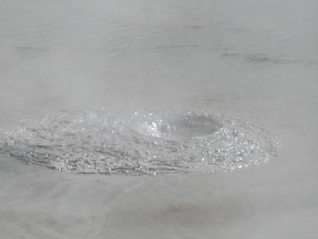 Natuerlich in Bewegung.