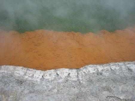 Eines der vielen Bilder in Nahaufnahme des "Champagner Pools".