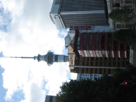 Skytower mit noch ein paar anderen Gebaeuden.