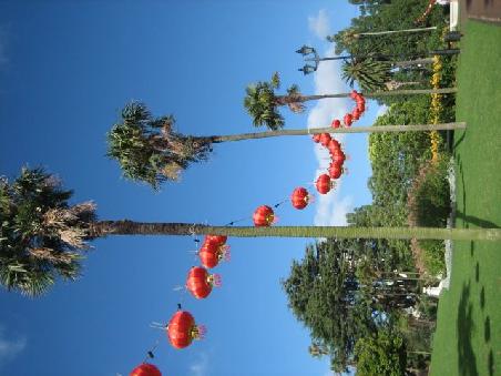 Albert Park.