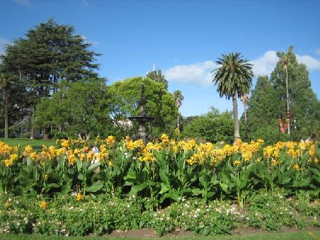 Nochmal der Albert Park.