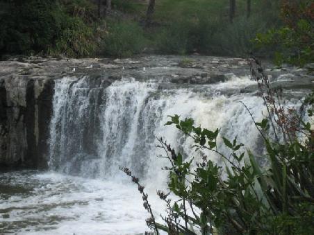 Nochmal die Haruru Falls.