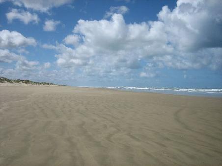 Ninetymilebeach.
