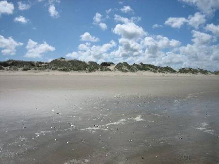 Duenen am Ninetymilebeach.