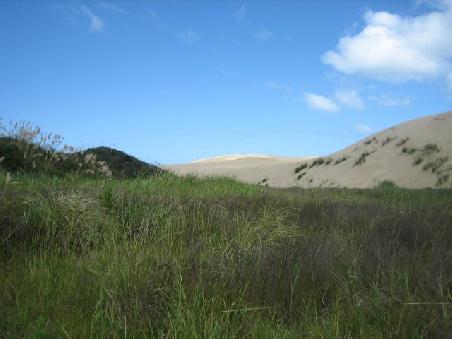 An den Giant Sanddunes.