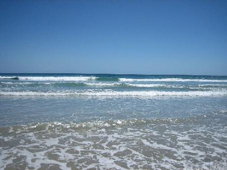 Ganz nah am Wasser.