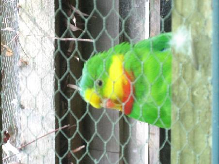 Die Vogelwelt soll auch nicht zu kurz kommen.