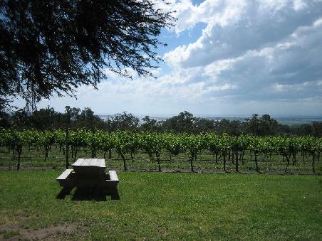 Ausblick von einem Vineyard.