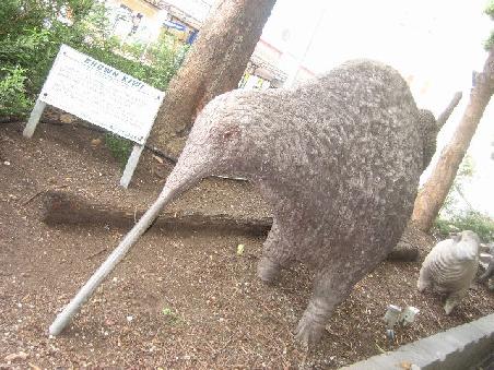 Kiwi.