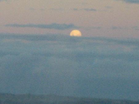 Mond.
