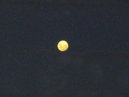Mond.