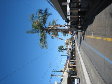 Die Hauptstrasse von Glenelg.