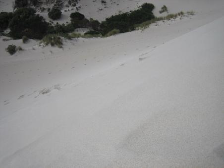 Die Wueste auf Kangaroo Island.
