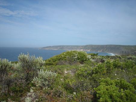 Blick uebers Meer von den Remarkable Rocks.