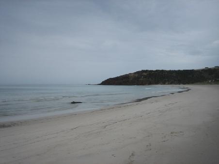 Snelling Beach.