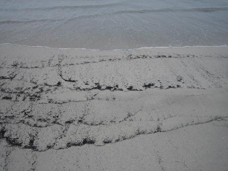 Snelling Beach mit Wasser.
