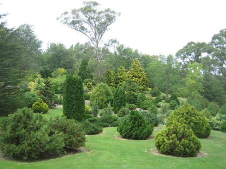 Mount Lofty botanical Garden.