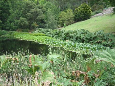 See im botanischen Garten.