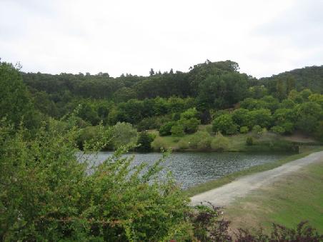 Noch ein See im botanischen Garten.