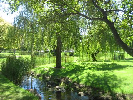 Im Veale Garden.