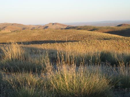 Flinders Ranges.