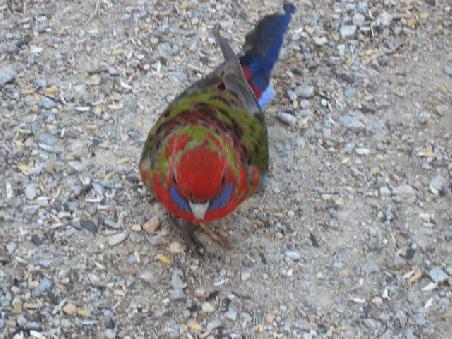 Schoene Farben.