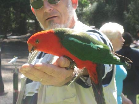 Bunter Vogel.