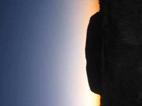 Uluru am fruehen morgen.