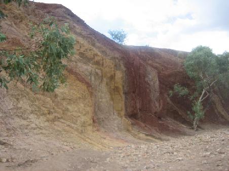 Orche Pits.