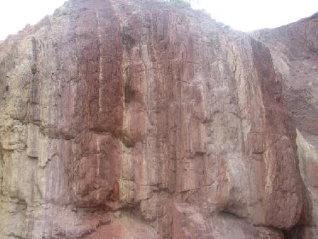 Orche Pits.