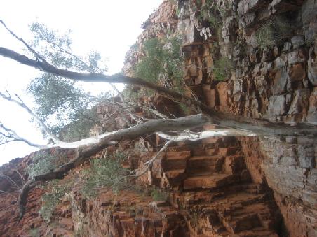 Serpentine Gorge.